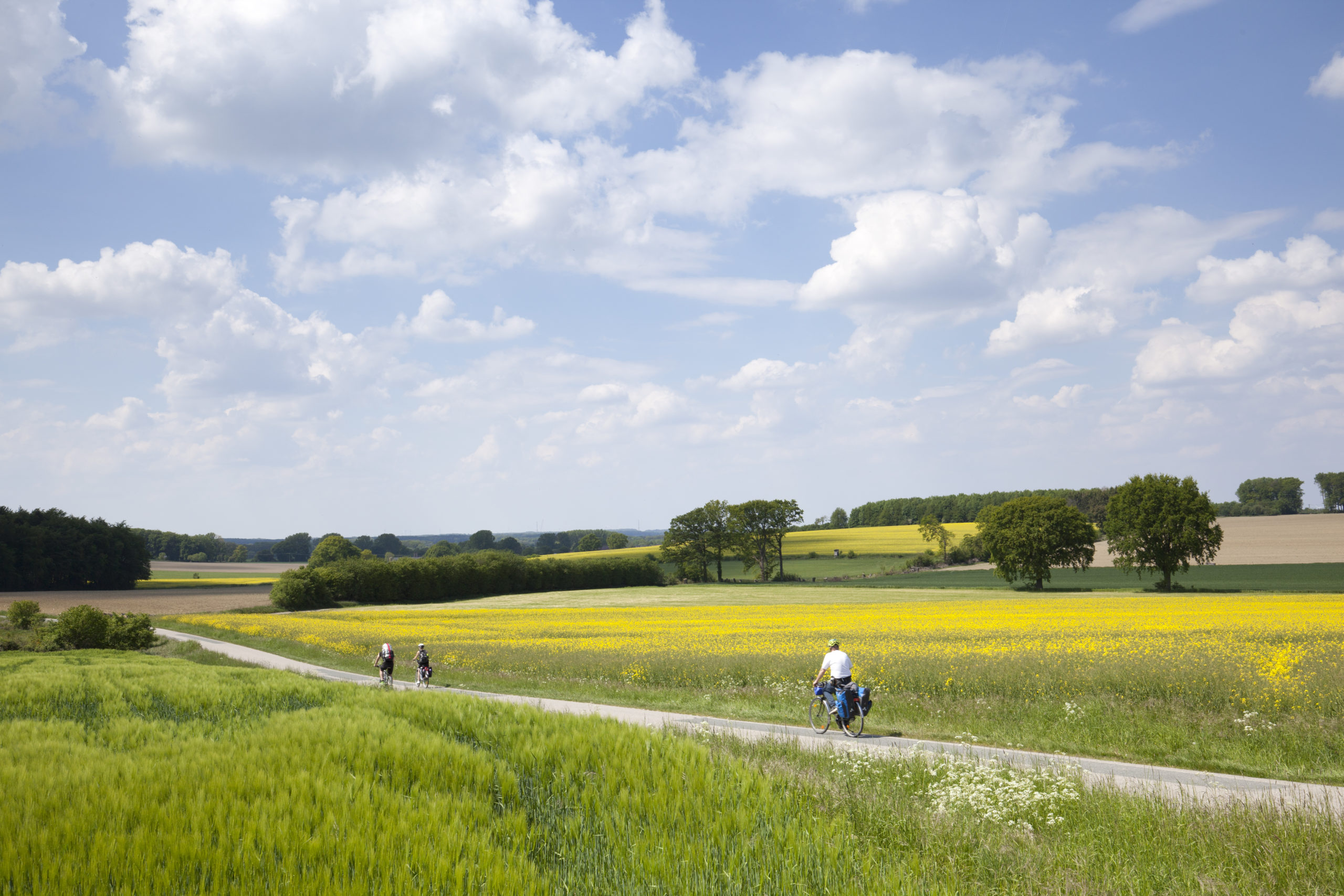 Radweg zwischen Darfeld und Billerbeck